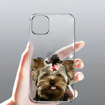 Yorkshire terrier cele mai Noi Noutate Caz de Telefon Transparent pentru iPhone caz 11 12 mini pro XS MAX 8 7 6 6S Plus X 5S SE 2020 XR