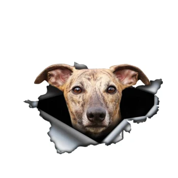 Personalitate Tigrat Câine Ogar 3D Vinil rezistent la apa Geam de Mașină de Înaltă Calitate, Accesorii Decorative de Vinil PVC 13cm X 9cm