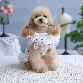 Catelus Haine de Vară Câine Rochii pentru Câini de talie Mică Drăguț Bubble Fuste Printesa Pomeranian Teddy Yorkie Corgi Chihuahua de Companie Costum