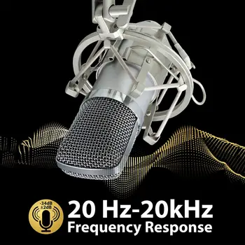 Condensator Cardioid Microfon XLR, (Zgomot de Deducere) 360 de Grade Uni-Directional Înregistrare Vocală cu Mount & Parbriz pentru PC,