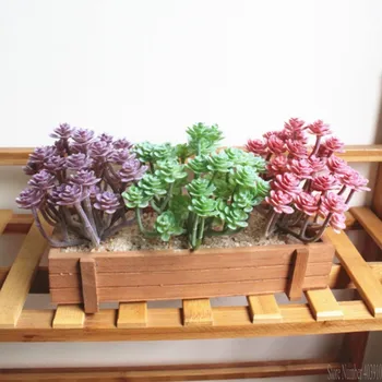 Drăguț Mini-cactusi, bonsai peisaj artificial, consistența, Cactus, flori decorative pentru masa decor de masă plante suculente