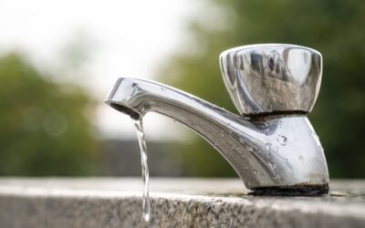 Cinci reguli simple care te ajută să eviți toxiinfecția în vacanță