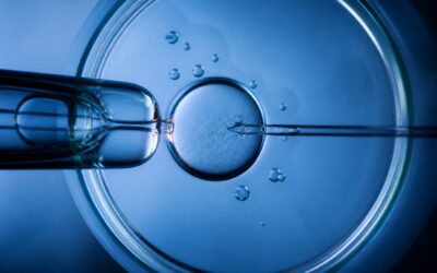 Studiu despre FIV cu ovule donate arată scăderea ratei nașterilor vii la 31,7% după 49 de ani
