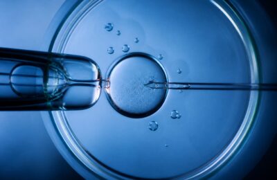 Studiu despre FIV cu ovule donate arată scăderea ratei nașterilor vii la 31,7% după 49 de ani