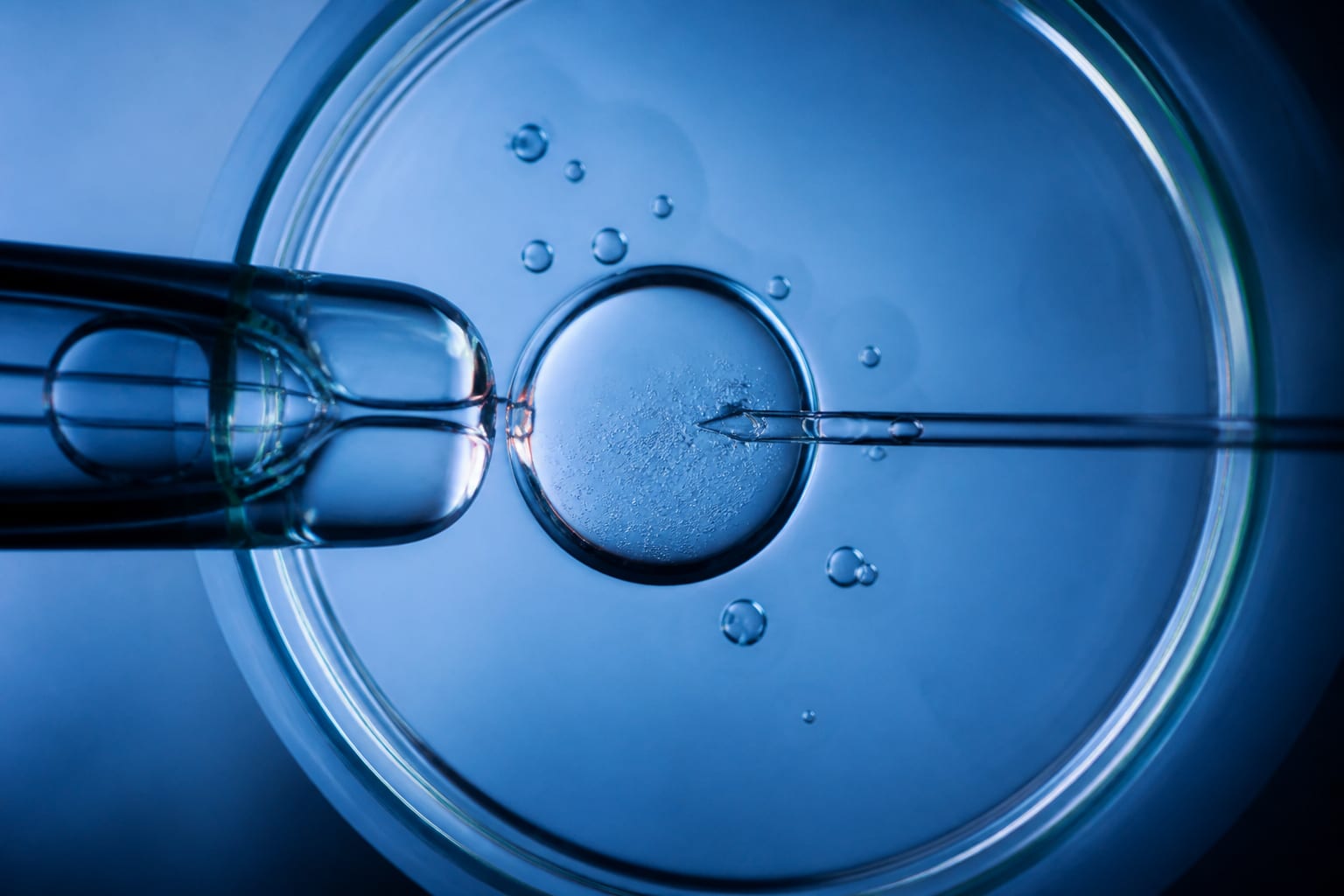 Studiu despre FIV cu ovule donate arată scăderea ratei nașterilor vii la 31,7% după 49 de ani