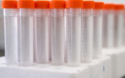Suedia interzice din 1 ianuarie 2028 peste 10.000 de substanțe PFAS din produse de consum
