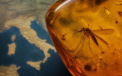 Virusul West Nile s-a extins în Europa, iar Italia a înregistrat 13 decese
