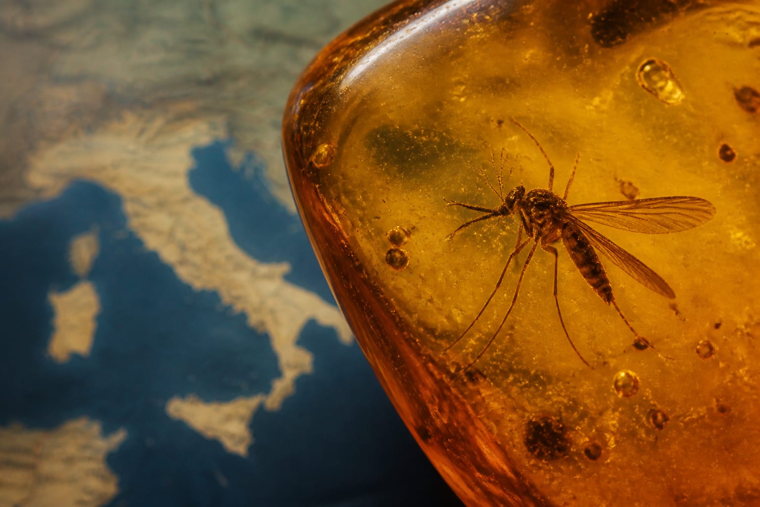 Virusul West Nile s-a extins în Europa, iar Italia a înregistrat 13 decese