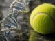 WTA introduce din 2026 testul genetic obligatoriu pentru toate jucătoarele