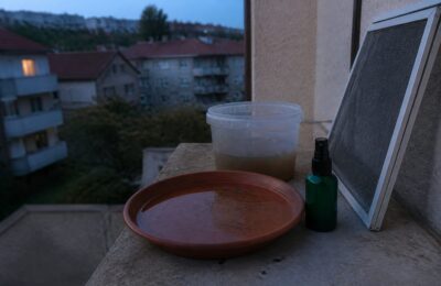 Olanda a confirmat primul deces cauzat de virusul West Nile și cum te poți proteja eficient