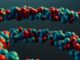 Bacteria din focarul mortal de meningită B din Kent a preluat ADN de la bacterii inofensive