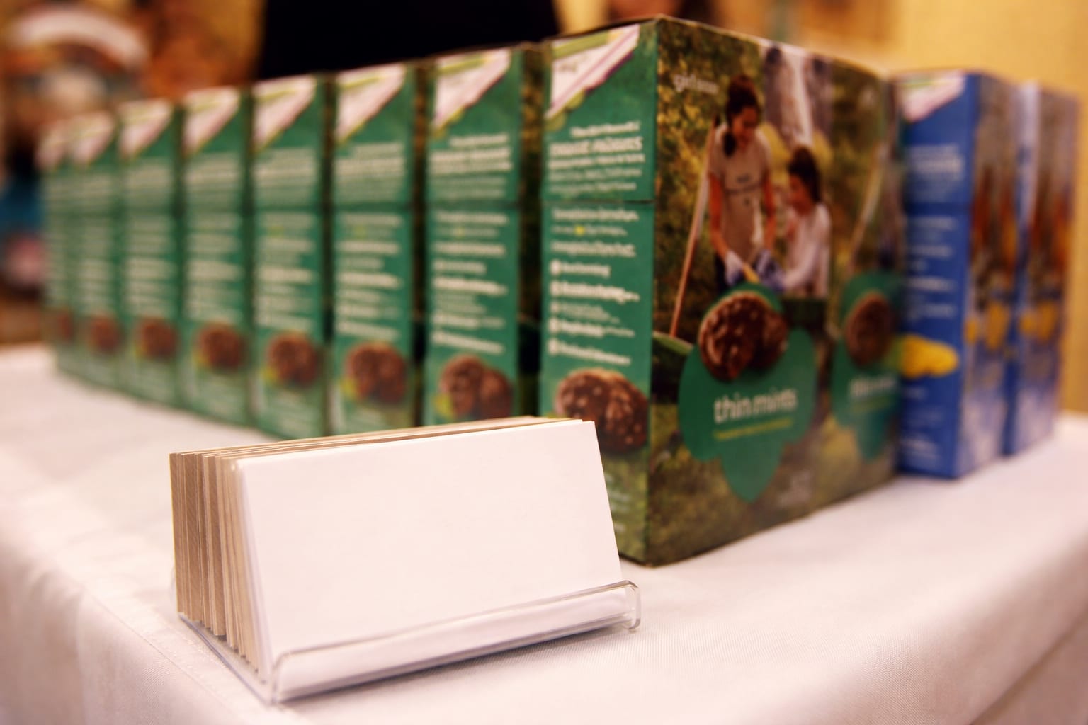 fursecuri Girl Scouts, imagine 2